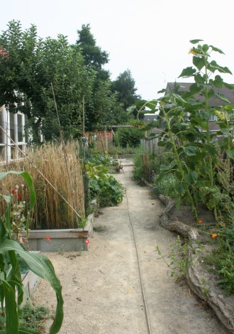 moestuin op de Morgenster Geldermalsen