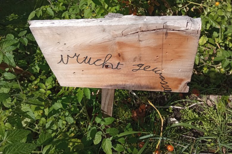 De wissel in Tiel, moestuin